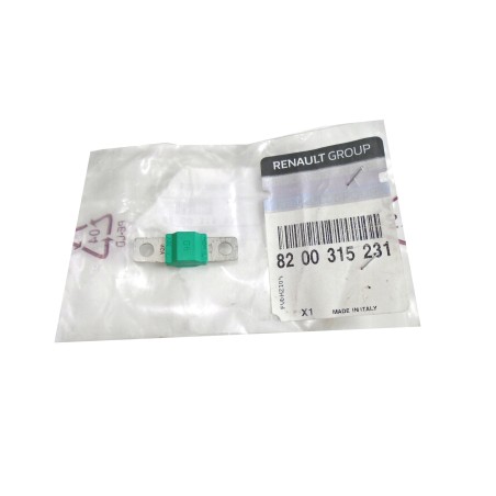 Fusible 40A Pour Renault Kangoo Master II III Pro Trafic Audi Fiat DS 8200315231