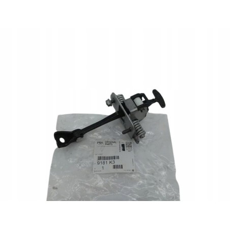 Charnière de Porte Avant Pour Citroën C4 9181K3