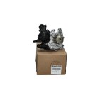 Pompe à Eau Pour Peugeot Opel Fiat Ford 155254067, 9836834880, 9836834880SK