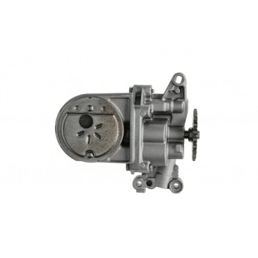 Pompe à Huile Pour Peugeot 106 205 206 207 306 307 1007 Bipper Citroën Saxo