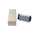 Radiateur de Moteur Pour Renault Captur Clio V 214109135R