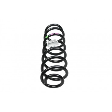 Ressort de Suspension Arrière Pour Renault Grand Scénic III 550200035R