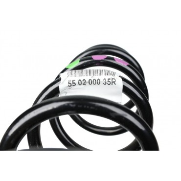 Ressort de Suspension Arrière Pour Renault Grand Scénic III 550200035R