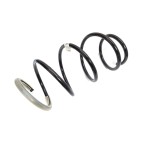Ressort de Suspension Avant Pour Renault Grand Scénic III Megane CC 540100021R