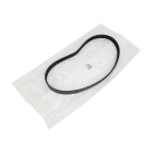 Courroie d'Alternateur Pour Peugeot VW Corrado Seat Ford 037903137F, 037903137G