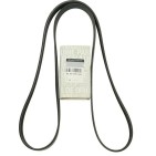 Courroie d'Alternateur Pour Renault Mercedes-Benz Nissan NV400 Toyota 8200356446