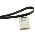 Courroie d'Alternateur Pour Renault Mercedes-Benz Nissan NV400 Toyota 8200356446