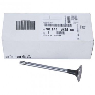 Soupape d'Admission Pour Peugeot Opel Fiat Ford Ecosport Focus IV Kuga III Puma