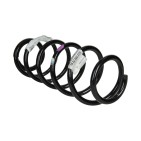 Ressort de Suspension Pour Renault Laguna III