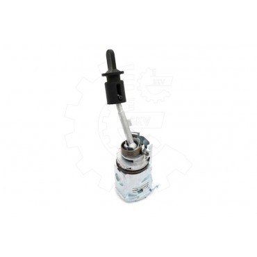 Barillet Serrure de Porte Pour Audi A4 A5 A6 8T1837167