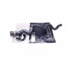 Tuyau de Refroidissement Pour BMW Série 5 F10 F11 17127582924 7582924