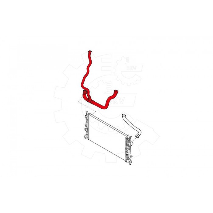 Tuyau de Refroidissement Pour Ford C-Max Focus II 3M5H8286MD