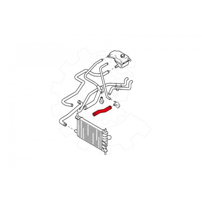Tuyau de Refroidissement Pour Ford Fiesta IV Mazda 121 III