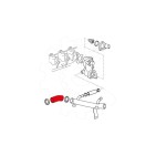 Tuyau de Refroidissement Pour Ford Fiesta IV Focus C-Max II Tourneo 1139030