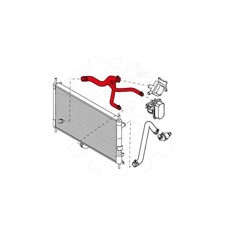 Tuyau de Refroidissement Pour Ford Transit 4408497 4714592 4C118B273AB