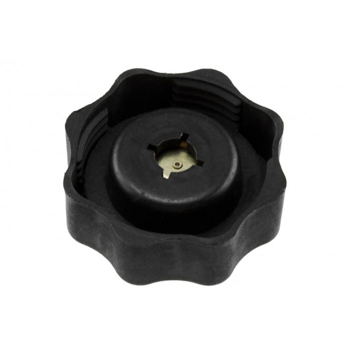 Bouchon Vase D'expansion Pour Defender Freelander Mini 45 I 400 25 17107515499