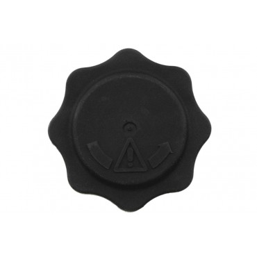 Bouchon Vase D'expansion Pour Defender Freelander Mini 45 I 400 25 17107515499