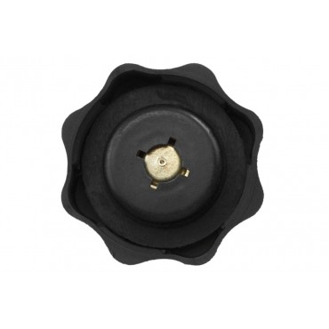 Bouchon Vase D'expansion Pour Defender Freelander Mini 45 I 400 25 17107515499
