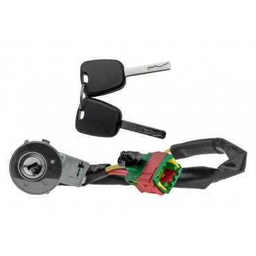 Contacteur d'Allumage Neiman Pour Citroën C2 C3 4162AH