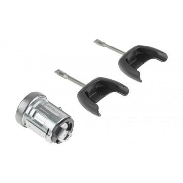Barillet Contacteur d'Allumage Pour Ford Fiesta V Focus Turnier Fusion 717444389