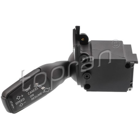 Commodo Régulateur de Vitesse Pour Audi A4 A6 Q7 Seat Exeo