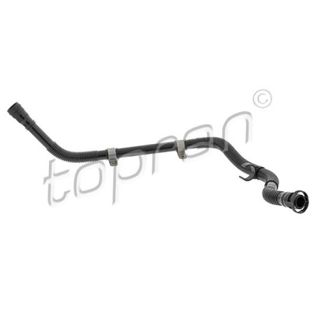 Tuyau Carter Purge Pour VW Audi A3 Seat Leon Toledo II Skoda Octavia I 8L0133817