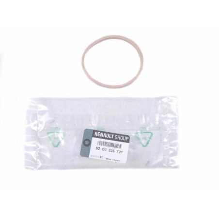 Joint de Boitier Papillon d'Air Pour Renault Clio III Megane II Scénic