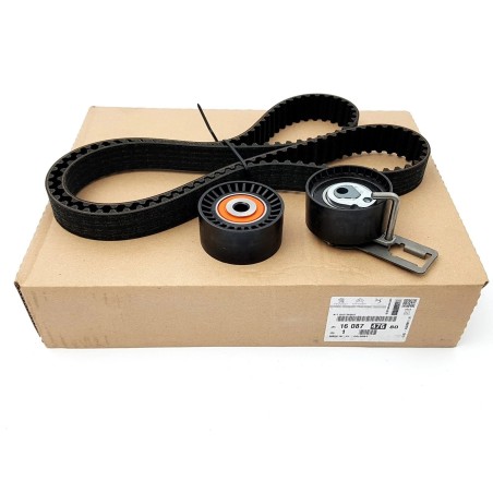 Kit Distribution Pour Peugeot Opel Ford B-Max Citroën 1703348, 1754317
