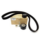 Kit Distribution Pour Renault Avantime Megane CC Trafic VEL Satis Opel Vivaro A