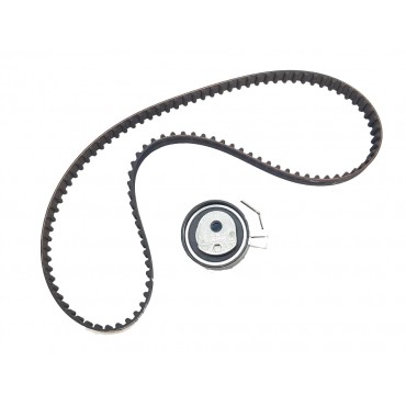 Kit Distribution Pour Peugeot 106 206 207 306 307 1007 Fiat Citroën Hyundai