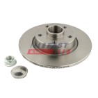 2 Disques de Frein Arrière Pour Renault Opel Fiat Nissan 432007343R 4422288