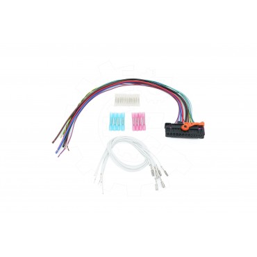 Broche Faisceau Connectique Porte Pour VW Golf V 1K0937702C