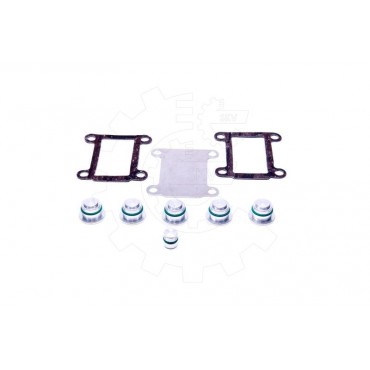 Kit de Réparation Collecteur d'Admission Pour Fiat Alfa Romeo Lancia 46823854