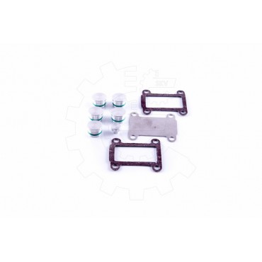 Kit de Réparation Collecteur d'Admission Pour Fiat Alfa Romeo Lancia 55210197