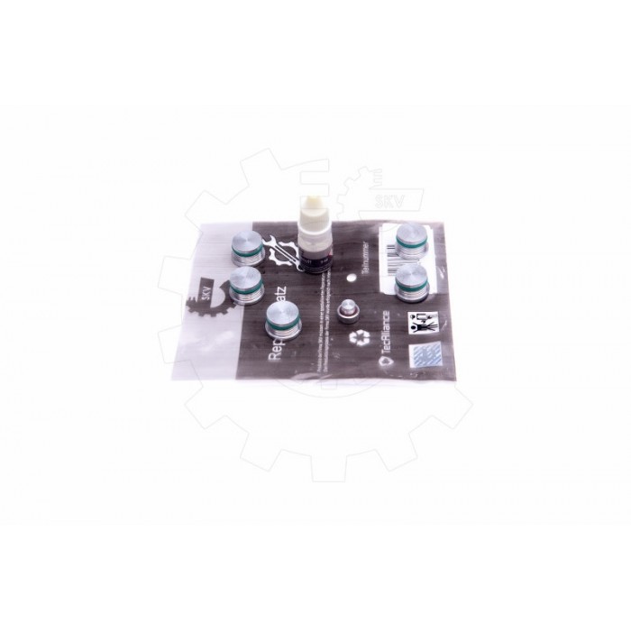 Kit de Réparation Collecteur d'Admission Pour Fiat Alfa Romeo Lancia 55210197