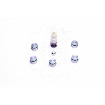 Kit de Réparation Collecteur d'Admission Pour Fiat Alfa Romeo Lancia 55210197