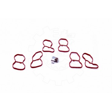 Kit de Réparation Collecteur d'Admission Pour BMW 7 F01 F02 F03 F04 11617800088