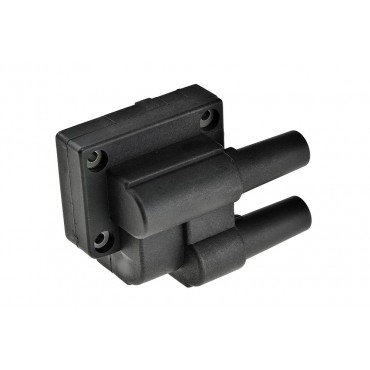 Bobine d'allumage pour RENAULT Clio II Kangoo Mégane I Mégane Scénic