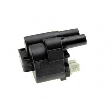 Bobine d'allumage pour RENAULT Clio II Kangoo Mégane I Mégane Scénic