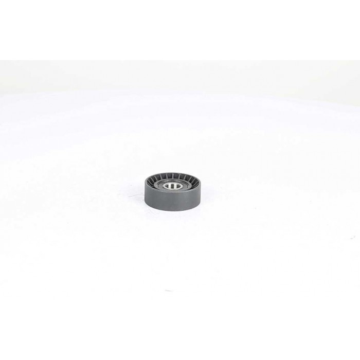 Galet Tendeur Courroie d'Accessoire Pour Opel Fiat 500 Ford Alfa Romeo 1204299