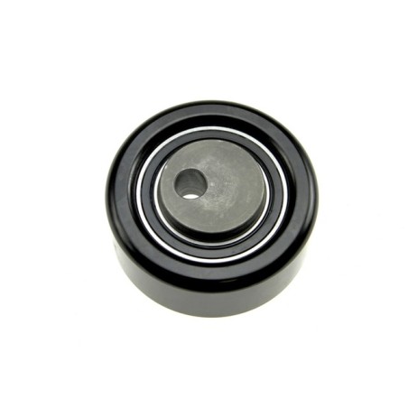 Galet Tendeur Courroie d'Accessoire Pour Peugeot 206 406 607 806 807 Expert