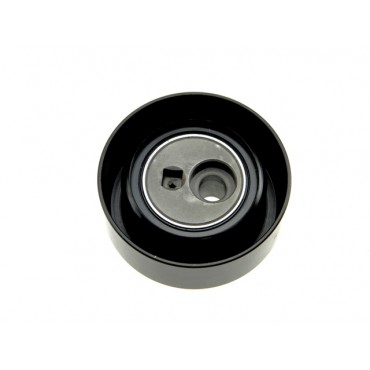 Galet Tendeur Courroie d'Accessoire Pour Peugeot 206 406 607 806 807 Expert