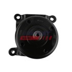 Galet Tendeur Courroie d'Accessoire Pour Peugeot Fiat Ford Citroën 1608024880