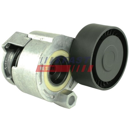 Galet Tendeur Courroie d'Accessoire Pour Renault Clio II Dacia Nissan 8200608550