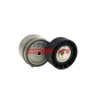 Galet Tendeur Courroie d'Accessoire Pour Iveco Daily II III 500332622