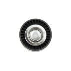 Galet enrouleur de Courroie d'Accessoire Pour Chrysler Dodge Jeep 04891596AB