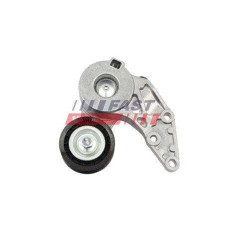 Galet Tendeur de Courroie d'Accessoire Pour VW Bora Audi Seat Ford 022145299A