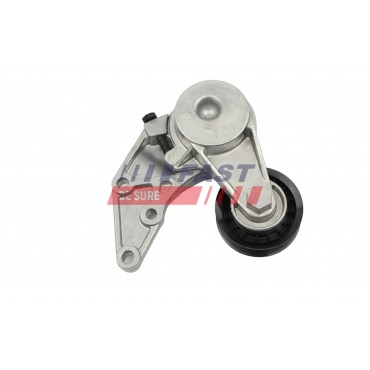 Galet Tendeur de Courroie d'Accessoire Pour VW Bora Audi Seat Ford 022145299A