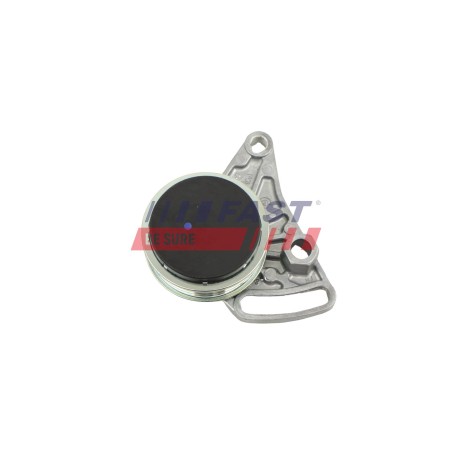 Galet Tendeur Courroie d'Accessoire Pour VW Passat Audi A4 A6 Skoda 058260511
