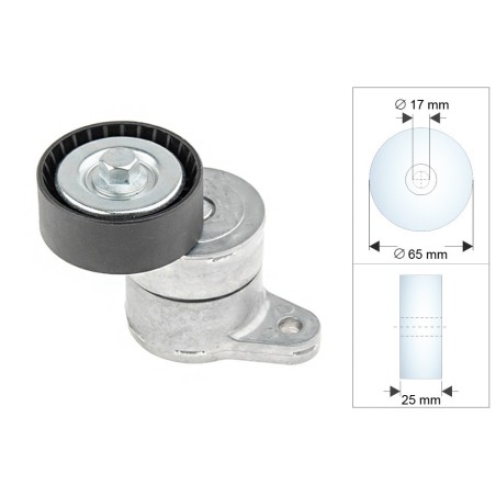 Galet Tendeur Courroie d'Accessoire Pour Peugeot Fiat Chrysler Citroën